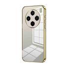 For vivo X100s Transparent Plating Fine Hole Phone Case(Gold) - 1