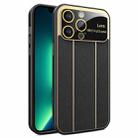 For iPhone 13 Pro Max Electroplating Litchi Grain Large Window Phone Case(Black) - 1