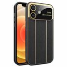 For iPhone 12 Electroplating Litchi Grain Large Window Phone Case(Black) - 1