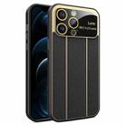 For iPhone 12 Pro Max Electroplating Litchi Grain Large Window Phone Case(Black) - 1