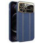 For iPhone 12 Pro Electroplating Litchi Grain Large Window Phone Case(Dark Blue) - 1