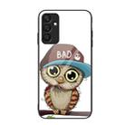 For Samsung Galaxy A25 5G Colorful Painted Glass Phone Case(Owl) - 1