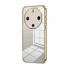 For Huawei Mate 60 RS Ultimate Transparent Plating Fine Hole Phone Case(Gold) - 1