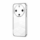 For Huawei Mate 60 RS Ultimate Transparent Plating Fine Hole Phone Case(Silver) - 1