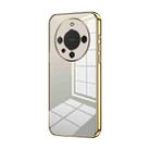 For Huawei Mate 60 Pro / 60 Pro+ Transparent Plating Fine Hole Phone Case(Gold) - 1