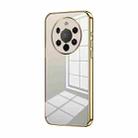 For Huawei Mate 40 Pro+ Transparent Plating Fine Hole Phone Case(Gold) - 1