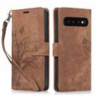 For Samsung Galaxy S10+ Orchid Butterfly Embossed Leather Phone Case(Brown) - 1