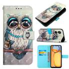 For Xiaomi Redmi 13C 3D Painting Horizontal Flip Leather Phone Case(Grey Owl) - 1