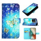 For Xiaomi Redmi Note 13 5G Global 3D Painting Horizontal Flip Leather Phone Case(Golden Butterfly) - 1