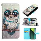 For Xiaomi Redmi Note 13 Pro 5G Global 3D Painting Horizontal Flip Leather Phone Case(Grey Owl) - 1