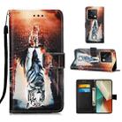 For Xiaomi Redmi Note 13 5G Global Colored Drawing Pattern Plain Weave Leather Phone Case(Cats And Tigers) - 1