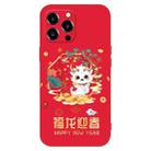 For iPhone 13 Pro New Year Red Silicone Shockproof Phone Case(Welcomes Spring Festival) - 1
