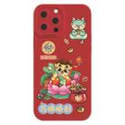 For iPhone 15 Pro Cartoon Year of the Dragon Chinese Style Silicone Phone Case(All the Best) - 1