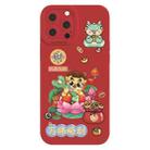 For iPhone 11 Pro Cartoon Year of the Dragon Chinese Style Silicone Phone Case(All the Best) - 1