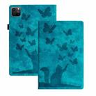 For iPad Pro 11 2024 Butterfly Cat Embossing Leather Tablet Case(Sky Blue) - 1