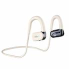 Hileo Hi77 TWS Waterproof Noise Reduction Sports Bluetooth Earphone(White) - 1