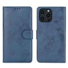 For iPhone 16 Pro 2 in 1 Detachable Phone Leather Case(Dark Blue) - 2