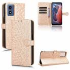 For Motorola Moto G Play 4G 2024 Honeycomb Dot Texture Leather Phone Case(Gold) - 1