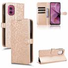 For Motorola Moto G55 5G Honeycomb Dot Texture Leather Phone Case(Gold) - 1