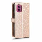 For Motorola Moto G55 5G Honeycomb Dot Texture Leather Phone Case(Gold) - 3