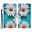 For Samsung Galaxy A35 Colored Drawing Pattern Flip Leather Phone Case(Daisy) - 1