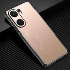 For vivo iQOO Neo 9 Pro Frosted Metal Phone Case(Gold) - 1