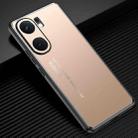 For vivo iQOO Neo 9 Frosted Metal Phone Case(Gold) - 1