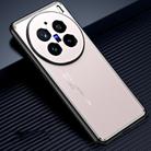 For vivo X200 Pro Frosted Metal Phone Case(Gold) - 1