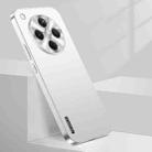 For OPPO Find X8 Streamer Series Micro Frosted Metal Paint PC Phone Case(Silver) - 1