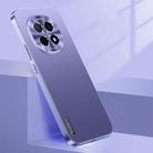 For OPPO A5 Pro China Streamer Series Micro Frosted Metal Paint PC Phone Case(Dark Purple) - 1