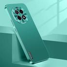 For OPPO A5 Pro China Streamer Series Micro Frosted Metal Paint PC Phone Case(Alpine Green) - 1