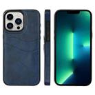 For iPhone 13 Pro Max Litchi Leather Skin Card Slots Phone Case(Blue) - 1