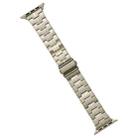 For Apple Watch SE 2023 44mm Stainless Steel Watch Band(Titanium) - 1