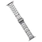 For Apple Watch SE 2023 40mm Stainless Steel Watch Band(Silver) - 1