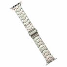 For Apple Watch Series 7 45mm Stainless Steel Watch Band(Starlight) - 1