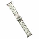 For Apple Watch Series 5 40mm Stainless Steel Watch Band(Starlight) - 1