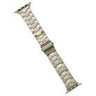 For Apple Watch Series 4 40mm Stainless Steel Watch Band(Titanium) - 1