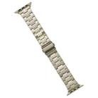 For Apple Watch 38mm Stainless Steel Watch Band(Titanium) - 1