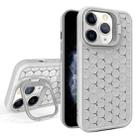 For iPhone 11 Pro Max Honeycomb Radiating Lens Holder Magsafe Phone Case(Grey) - 1