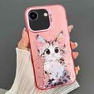 For iPhone SE 2022 / 2020 / 8 / 7 Dual-sided IMD Animal Graffiti TPU + PC Phone Case(Elegant Cat) - 1