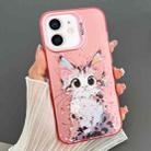 For iPhone 12 Dual-sided IMD Animal Graffiti TPU + PC Phone Case(Elegant Cat) - 1