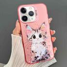 For iPhone 11 Pro Max Dual-sided IMD Animal Graffiti TPU + PC Phone Case(Elegant Cat) - 1