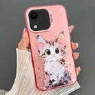 For iPhone XR Dual-sided IMD Animal Graffiti TPU + PC Phone Case(Elegant Cat) - 1