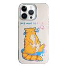 For iPhone 14 Pro Colorful Pattern TPU + PC Phone Case(Cat) - 1