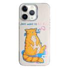 For iPhone 11 Pro Max Colorful Pattern TPU + PC Phone Case(Cat) - 1