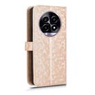 For Realme 14 Pro Lite / 13 Pro Global Honeycomb Dot Texture Leather Phone Case(Gold) - 3