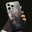 For iPhone 15 Pro Foxtail Bronzing Laser Gradient Phone Case(Black) - 1