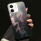 For iPhone 12 Foxtail Bronzing Laser Gradient Phone Case(Black) - 1