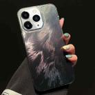 For iPhone 11 Pro Max Foxtail Bronzing Laser Gradient Phone Case(Black) - 1
