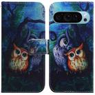 For Google Pixel 9 Pro Coloured Drawing Flip Leather Phone Case(Oil Painting Owl) - 1